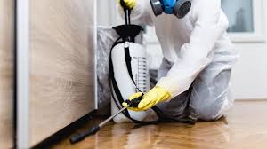 Best Real Estate Pest Inspections  in Winter Springs, FL